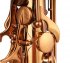 Miete: System'54 R-series Altsaxophon Vintage Gold; Neu Instrument!