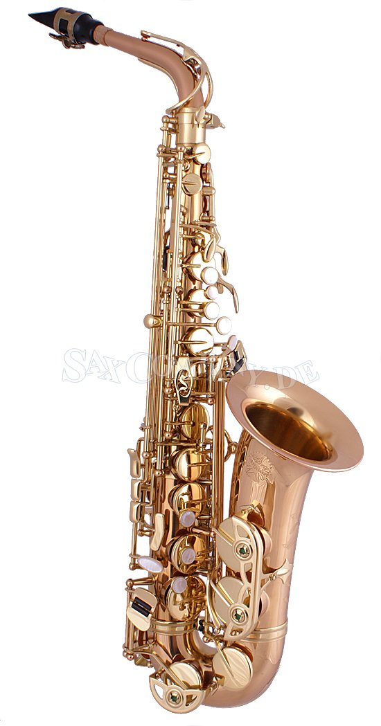 Selmer (USA) Liberty AS501L Bronze Altsaxophon mit Selmer C* Mundstück - zum Schließen ins Bild klicken