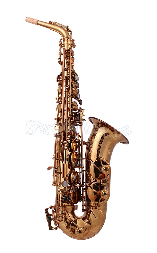 System'54 R-series Altsaxophon Vintage Gold - zum Schließen ins Bild klicken