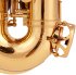 Miete: Yamaha YAS 62 (04) Altsaxophon; Neu!