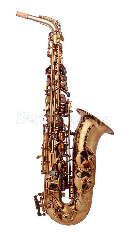 System'54 Silverneck-R Altsaxophon Vintage Gold - zum Schließen ins Bild klicken