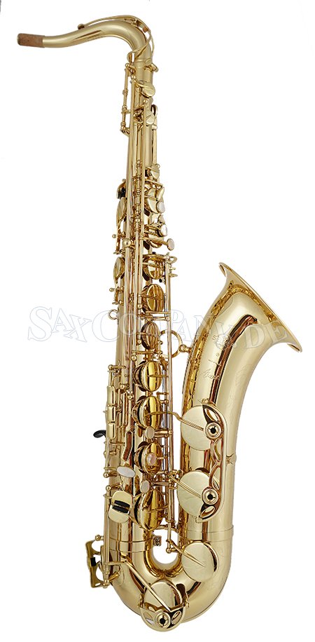 Selmer Axos Alto Saxophone - zum Schließen ins Bild klicken